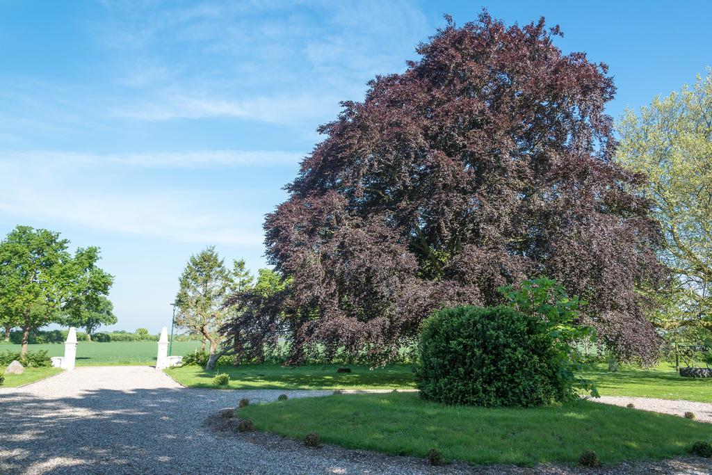 Ferienhof Kolauerhof - Bauernhofurlaub In Грёмиц Экстерьер фото